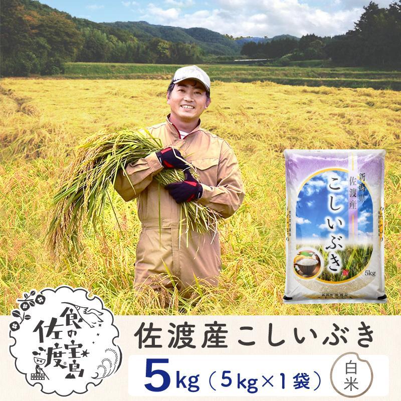 佐渡島産 こしいぶき 白米5kg×1袋【令和5年産】〜農薬5割減〜