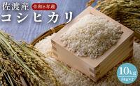 佐渡島産　コシヒカリ　10kg（5kg×2）　令和６年産