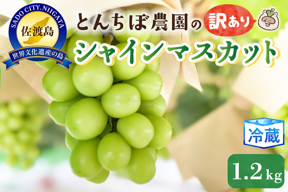 佐渡産シャインマスカット訳あり1.2kg（2〜3房）