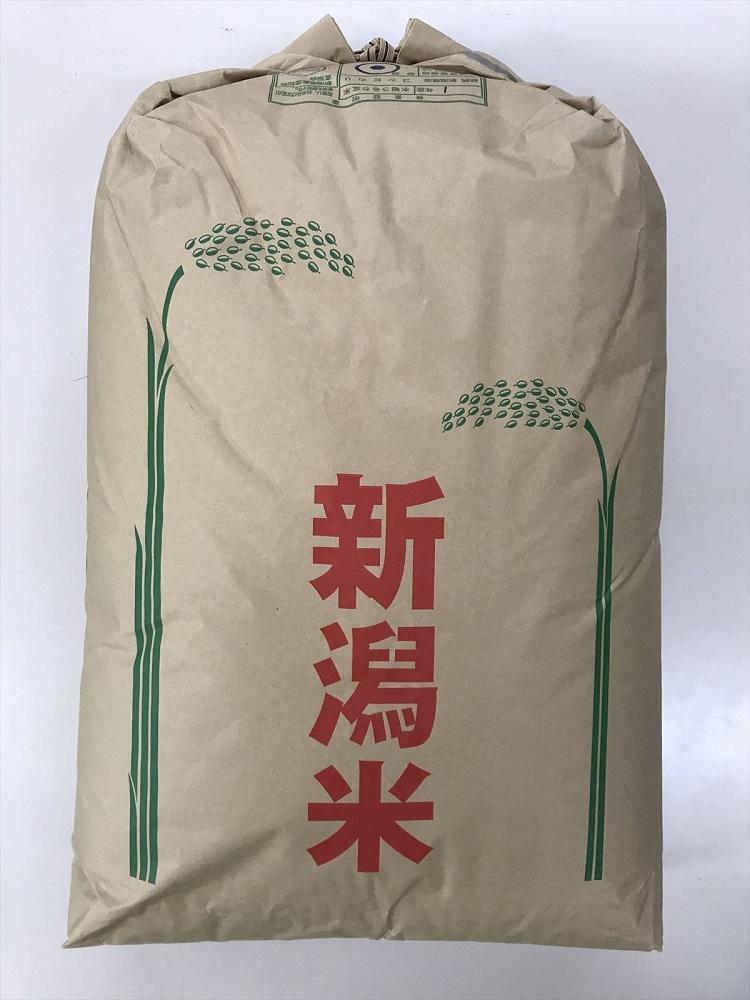 【先行予約】【新米】自社栽培米佐渡産こしひかり（玄米10kg）