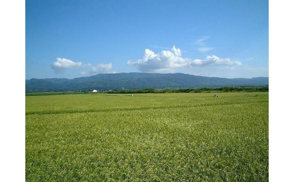 令和6年産 佐渡産コシヒカリ米「朱鷺と暮らす郷」5kg 佐渡・今井茂助商店おすすめ