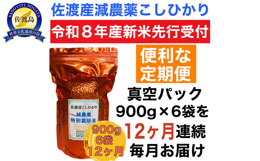 【令和8年産新米　定期便・先行予約】佐渡島産 減農薬特別栽培米こしひかり 真空パック 900g×6袋　全12回