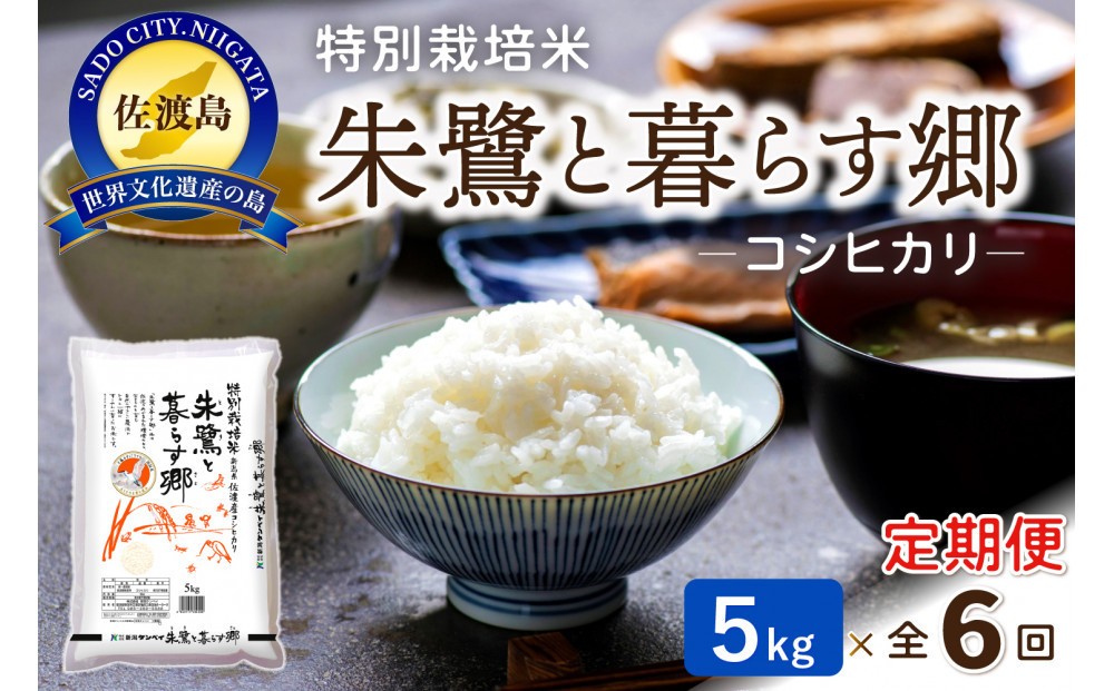 縲6繝カ譛磯」邯壹♀螻翫¢縲台ス先ク。逕」繧ウ繧キ繝偵き繝ェ 譛ア鮃コ縺ィ證ョ繧峨☆驛キシ5kgシ
