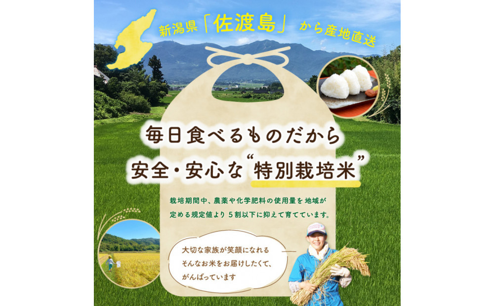 佐渡島産ミルキークイーン 白米2Kg 令和7年産 特別栽培米