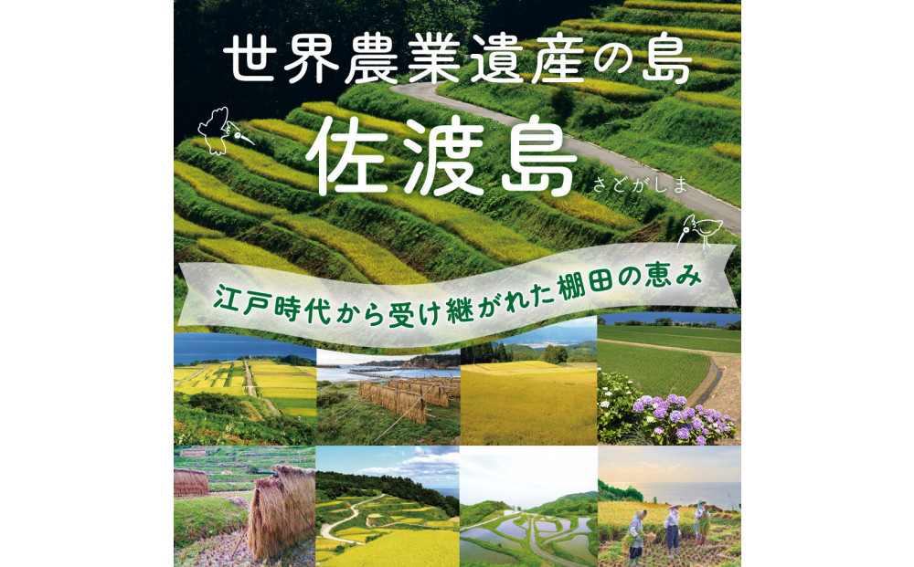 菴先ク。蟲カ逕」繧ウ繧キ繝偵き繝ェ 蟯ゥ鬥匁遶懈」夂伐邀ウ 逋ス邀ウ2Kg縲蝉サ、蜥7蟷エ逕」縲