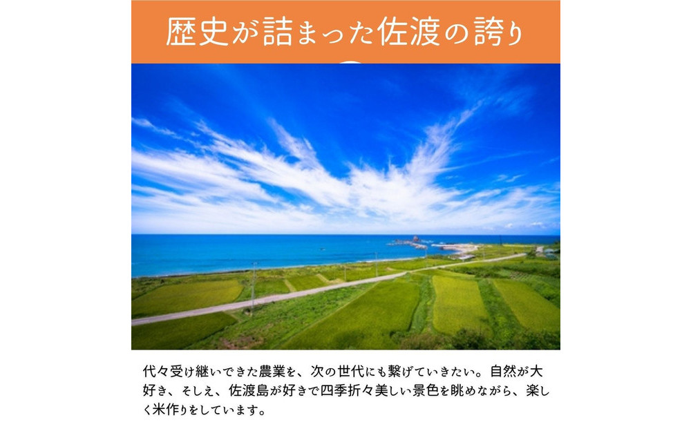 ＜定期便3回＞【令和７年産・数量限定】新潟県佐渡産の純粋コシヒカリ　精米【無洗米】2kg×3回　送料無料　R8年2月上旬～R8年4月上旬の3回送付