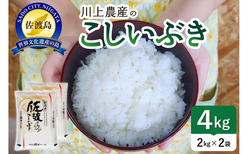 【レビューキャンペーン実施中！】令和7年産 佐渡 川上農産のこしいぶき（2kg×2）