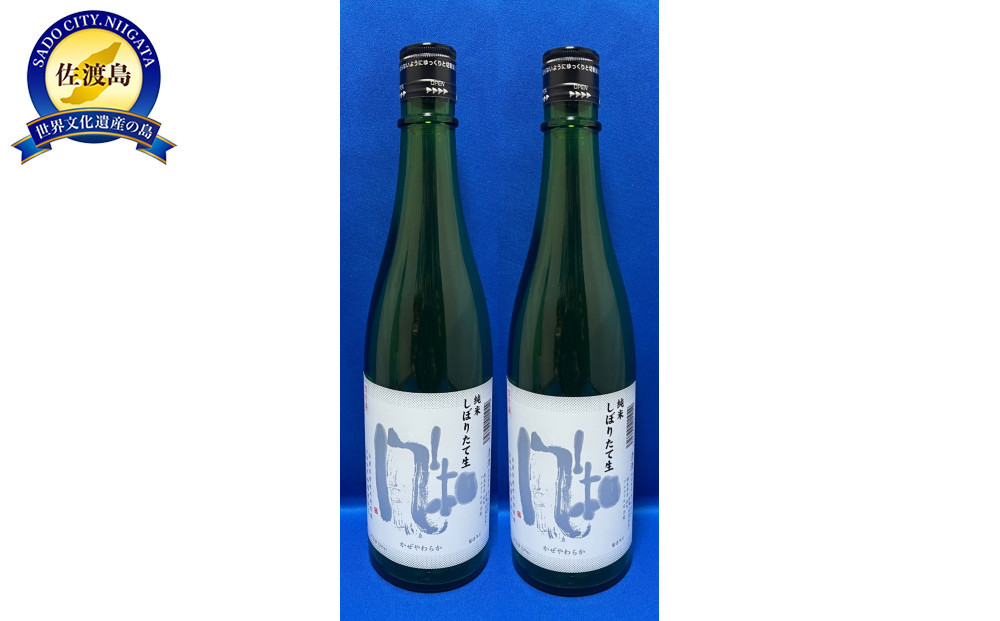 冬のお楽しみ！金鶴純米風和　しぼりたて生　720ml×2本