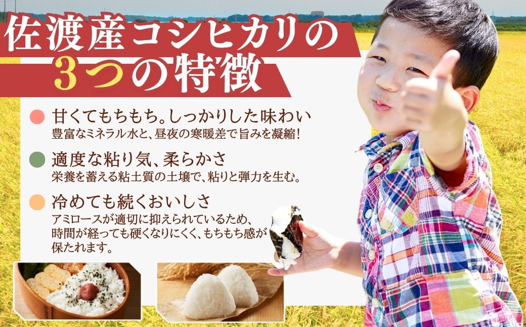 譁ー貎溽アウ迚ゥ隱樔ス先ク。逕」繧ウ繧キ繝偵き繝ェシ5kgシ