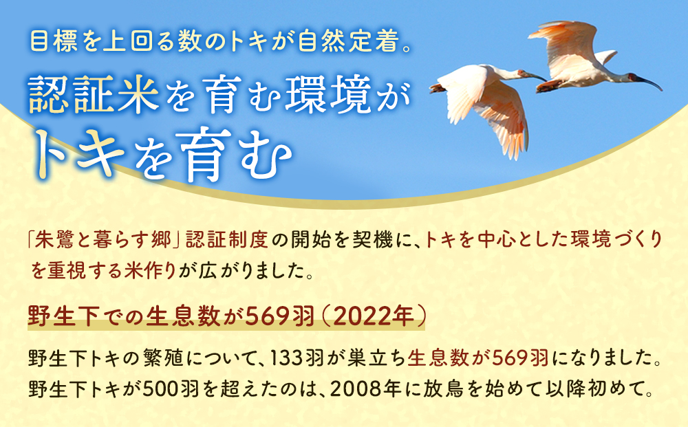 「朱鷺と暮らす郷」佐渡産コシヒカリ（5kg）