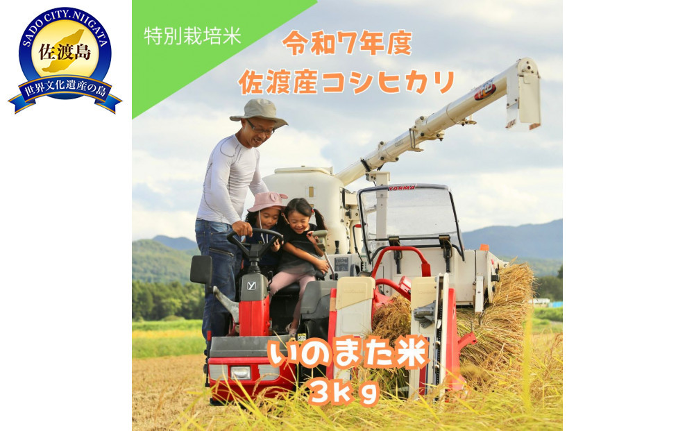 令和7年産コシヒカリ　精米（無洗米）3kg　農家直送　佐渡市いのまた米