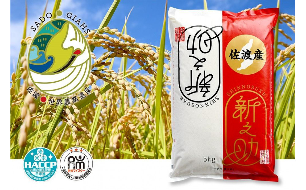 新潟県佐渡市産 新之助 精米 5kg【令和7年米】