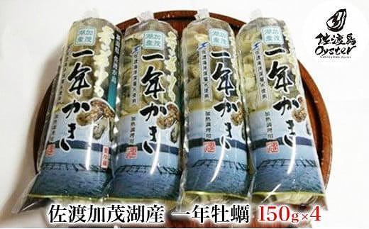 【佐渡加茂湖産】一年牡蠣　むき身（150g×4袋）