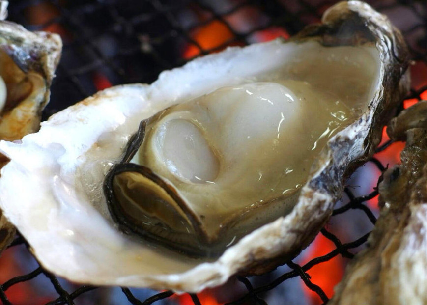 ãäœæž¡å èæ¹ç£ã äžå¹Žç¡è £ã®ã«ã³ã«ã³çŒãïŒæ®»ä»ãç¡è £çŽ2kgïŒ