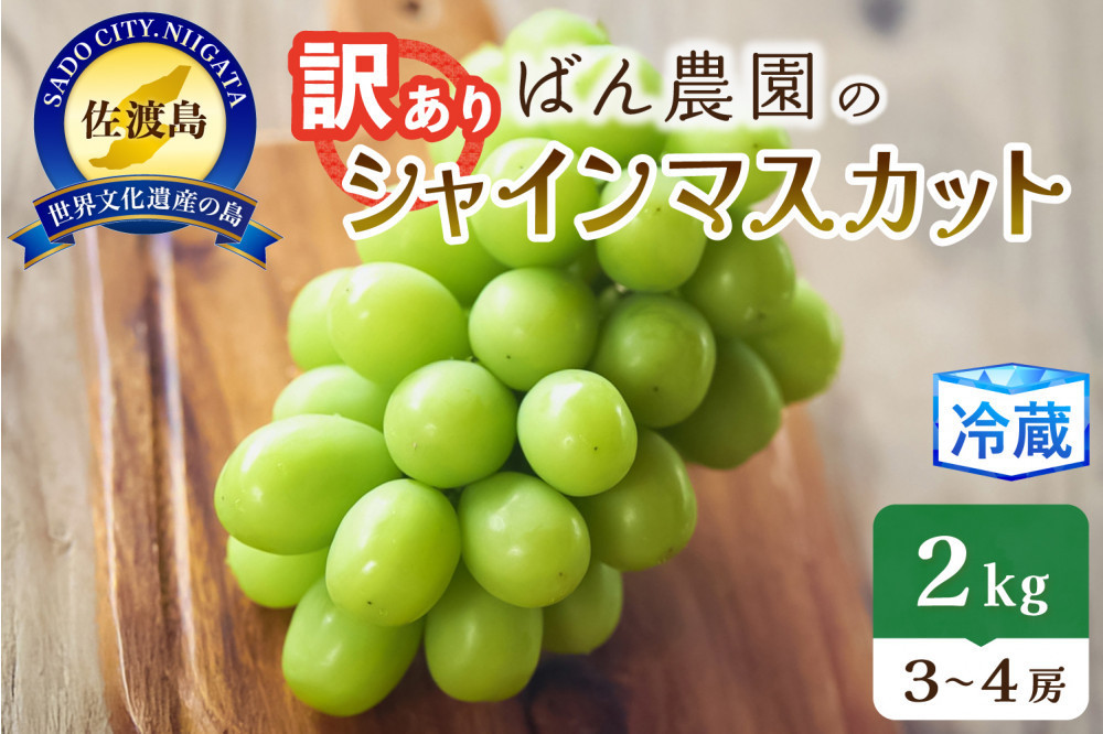 【訳あり】シャインマスカット2kg　3〜4房　佐渡島産