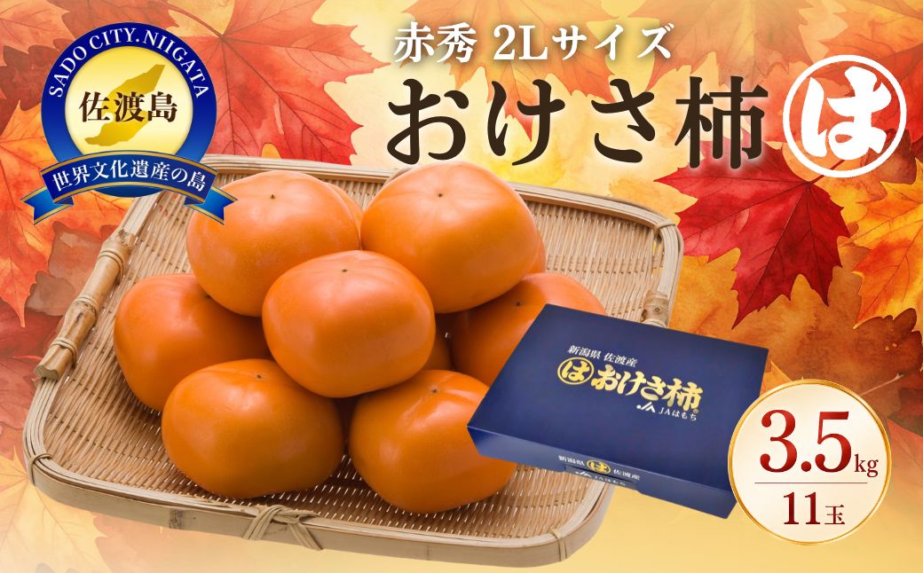 【先行予約】柿 おけさ柿 高級 赤秀 2Lサイズ 11玉 種なし 化粧箱入
