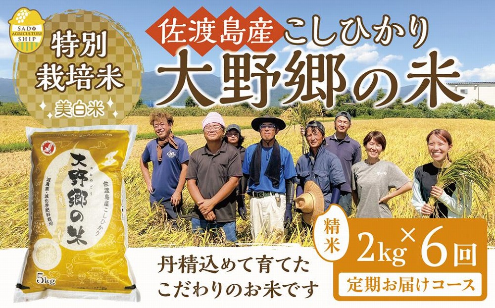 【令和５年産新米】佐渡島産 特別栽培米こしひかり「大野郷の米」精米2kg×6回定期お届けコース