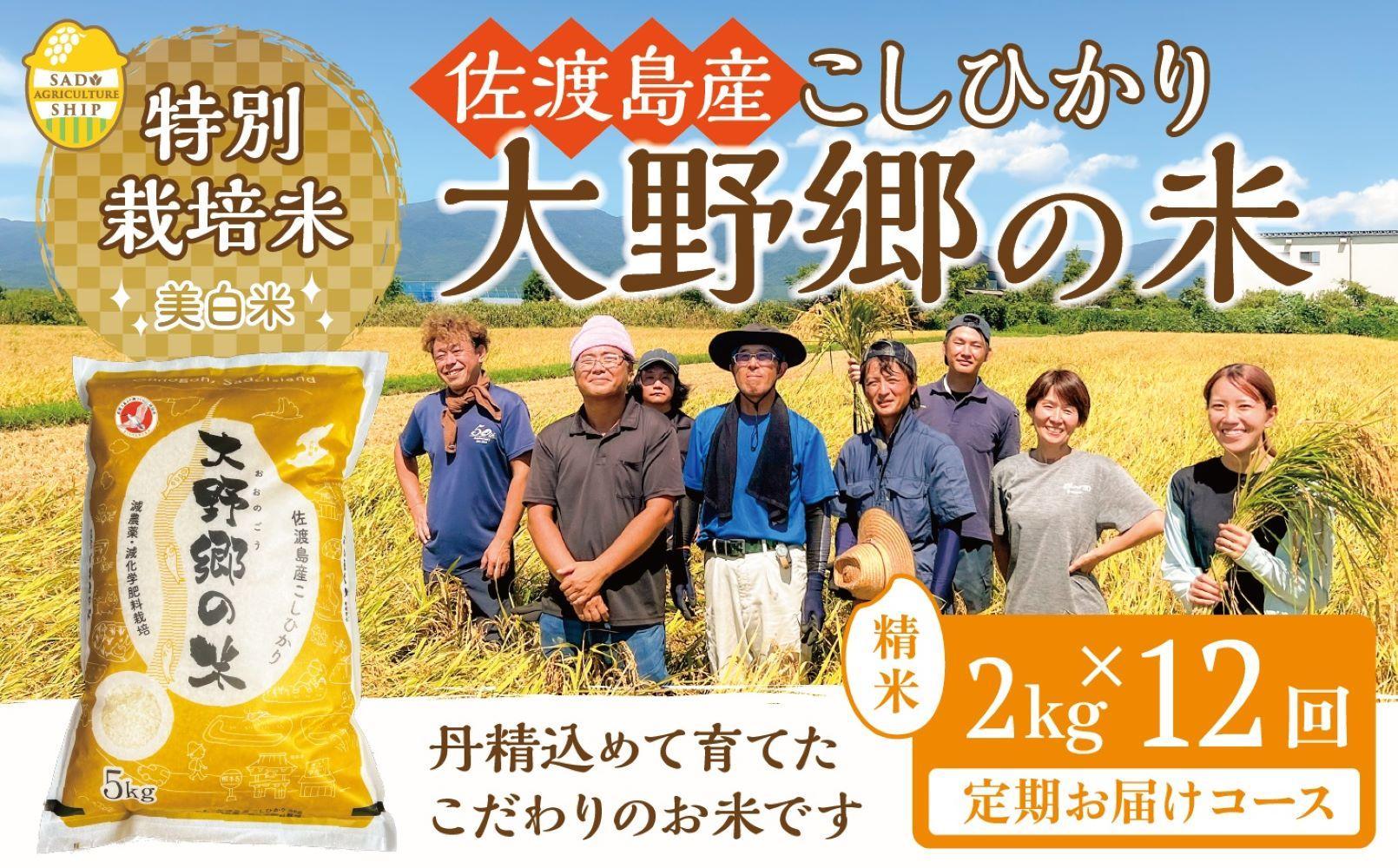 【令和６年産新米】佐渡島産 特別栽培米こしひかり「大野郷の米」精米2kg×12回 定期お届けコース