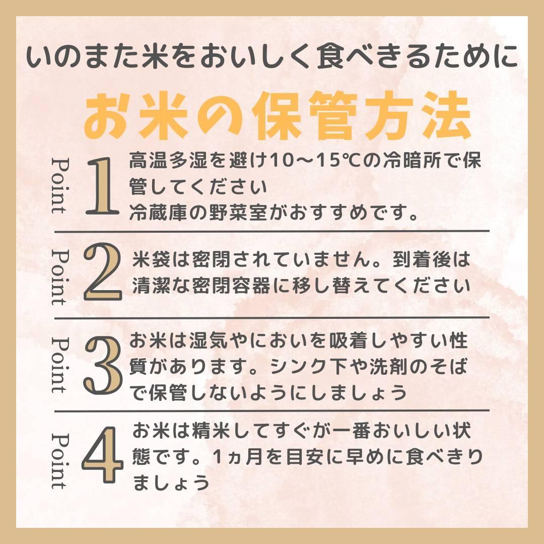 【令和６年産コシヒカリ】　精米（無洗米）５kg　農家直送　佐渡市いのまた米