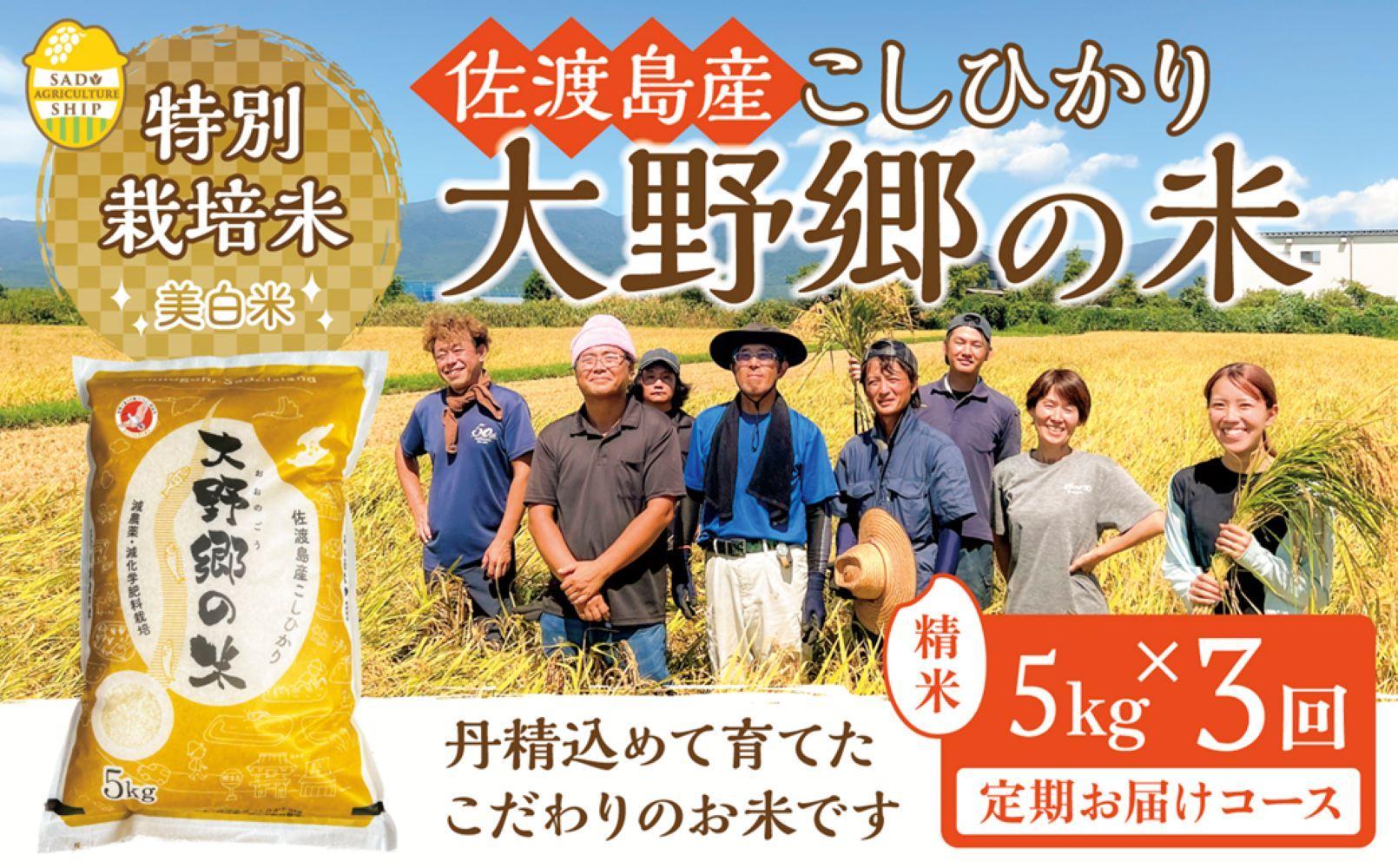 【令和６年産新米】佐渡島産 特別栽培米こしひかり「大野郷の米」精米5kg×３回 定期お届けコース