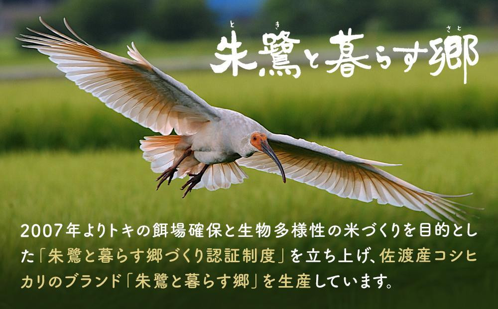 【6ヶ月連続お届け】佐渡産コシヒカリ 朱鷺と暮らす郷（5kg）