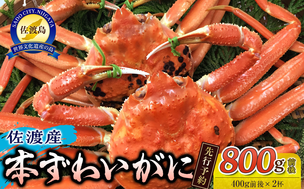 【令和8年1月中旬以降発送】佐渡産 本ずわいがに 800g前後（400g前後×2杯）