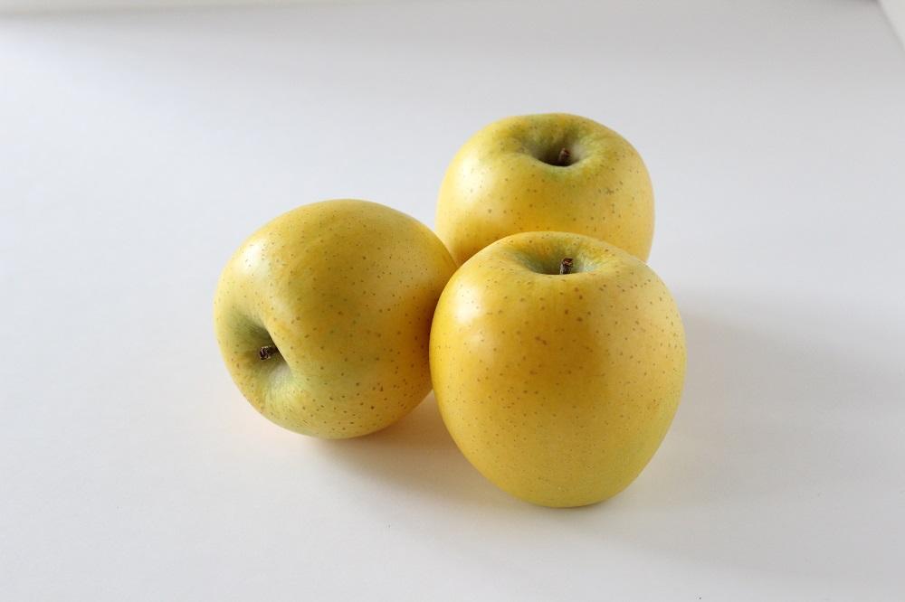 【10月下旬以降発送】佐渡 西三川・松丘農園のりんご「シナノゴールド」12個～20個　計5kg