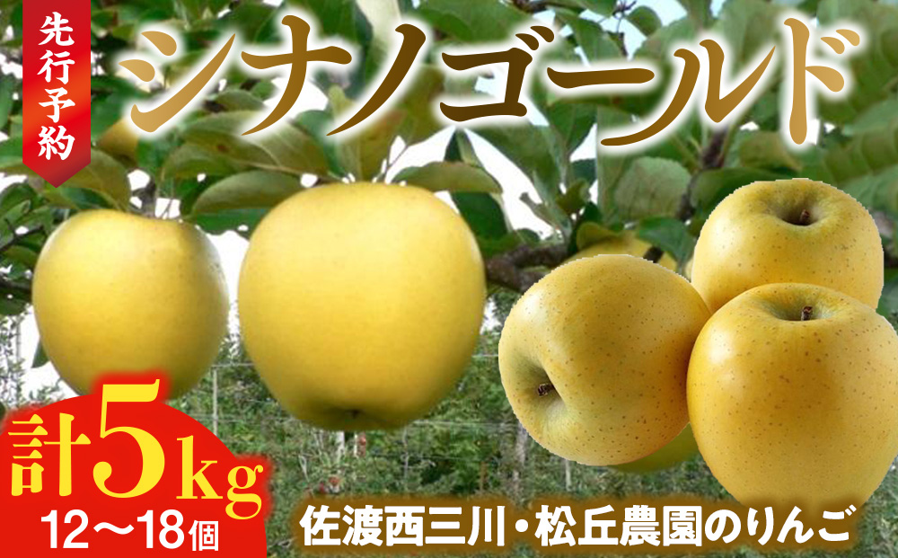 【10月下旬以降発送】佐渡 西三川・松丘農園のりんご「シナノゴールド」12個～20個　計5kg