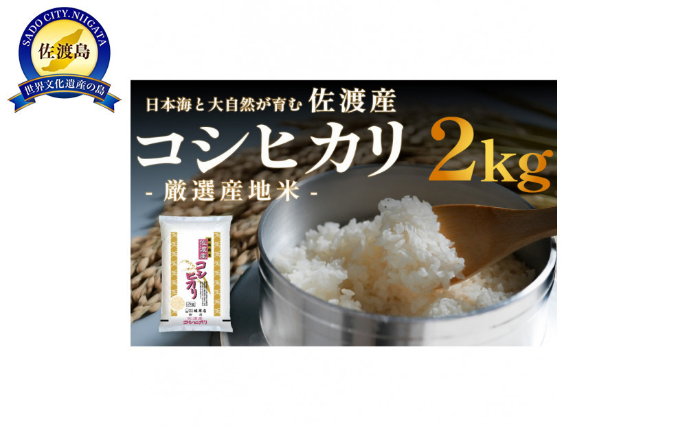佐渡産コシヒカリ 2kg 令和7年産