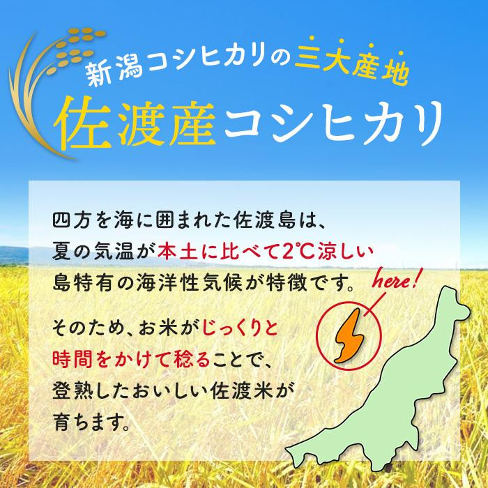 【新潟県佐渡】佐渡産の純粋コシヒカリ10kg＜数量限定＞ 令和７年産 精米【無洗米】5kg×2袋 　