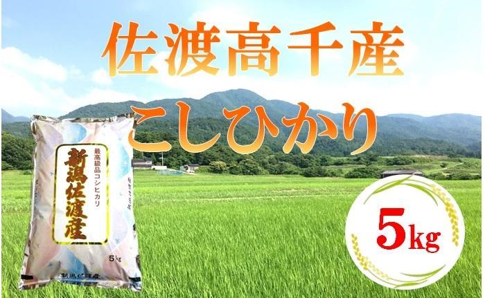 【令和7年産】佐渡高千産こしひかり 5kg