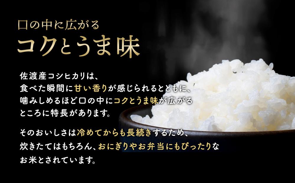 無洗米15kg 新潟県佐渡産コシヒカリ15kg(5kg×3)×6回「6カ月定期便」