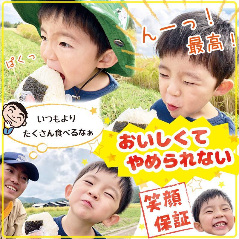 【新米・先行予約】佐渡島産 にじのきらめき 白米5Kg×1袋 特別栽培米 令和6年産