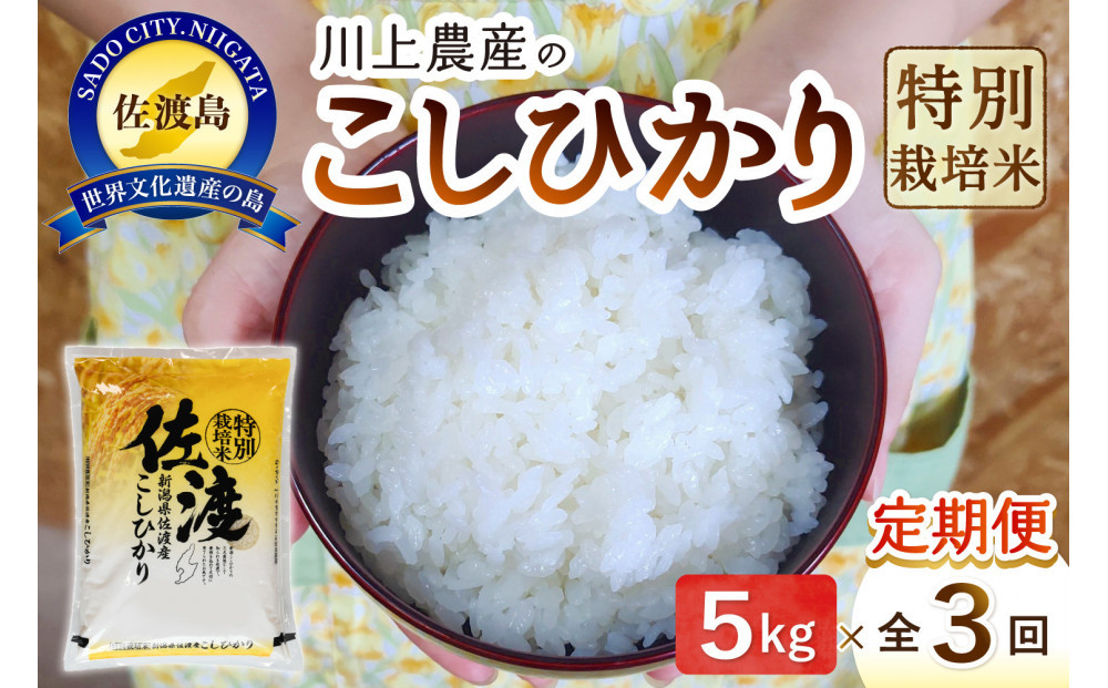 【レビューキャンペーン実施中！】令和7年産 佐渡 川上農産のコシヒカリ 定期便（5kg×全3回）