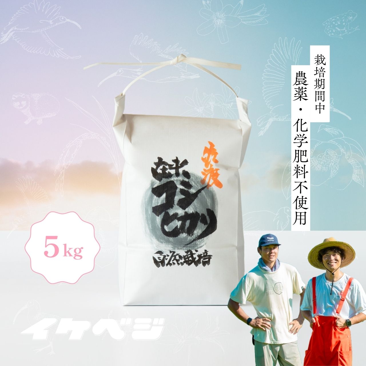 新潟県佐渡産 令和7年産 【在来コシヒカリ】 玄米 5kg