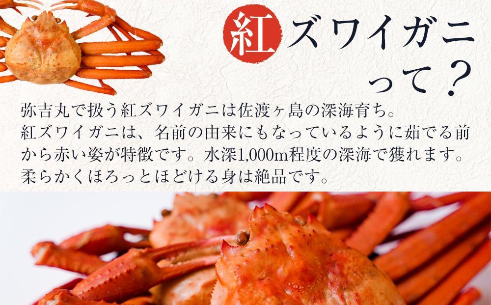 【2026年3月先行受付】佐渡島直送！浜茹で紅ズワイガニむき身（500ｇ/約20杯分使用）ふるさと納税