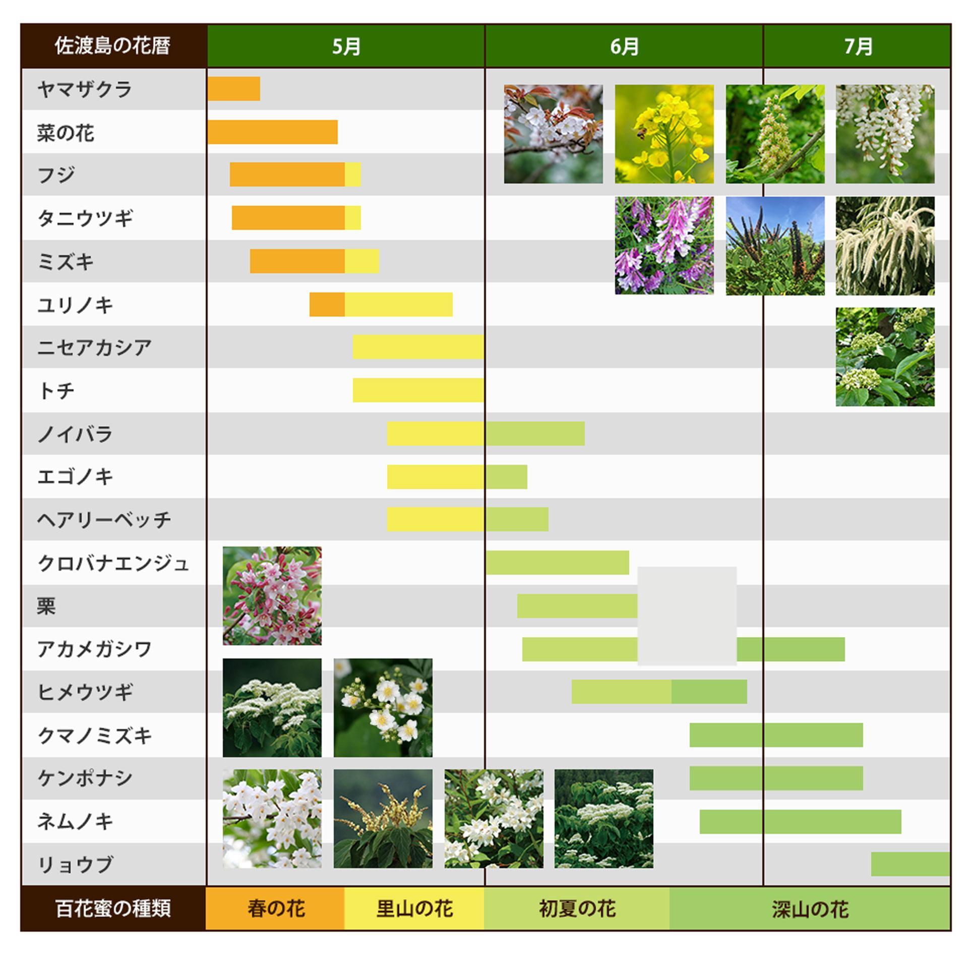 佐渡島はちみつ(非加熱・無加工)百花蜜2本セット (初夏の花・深山の花 / 各1本)