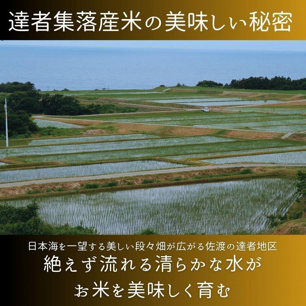 ＜数量限定＞【令和6年産】佐渡達者集落産コシヒカリ　精米【無洗米】５kg　送料無料