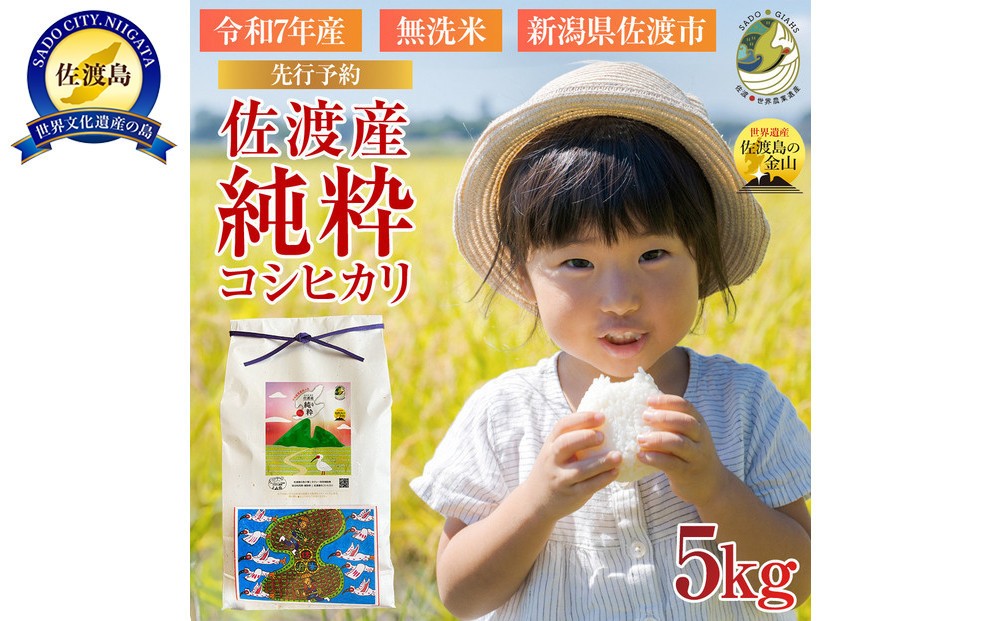 【新潟県佐渡】純粋コシヒカリ＜数量限定＞ 令和７年産 精米【無洗米】5kg 送料無料