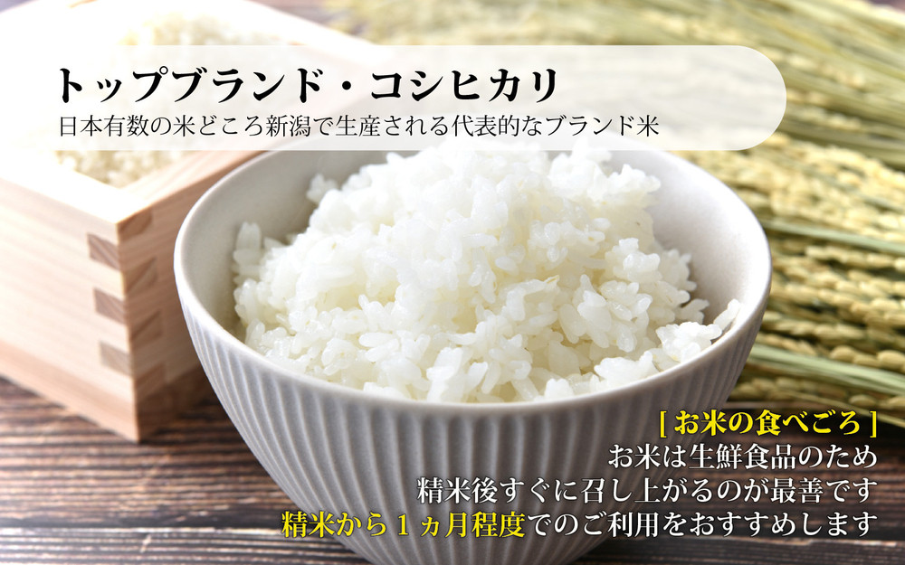 無洗米佐渡産コシヒカリ 5kg 令和7年産