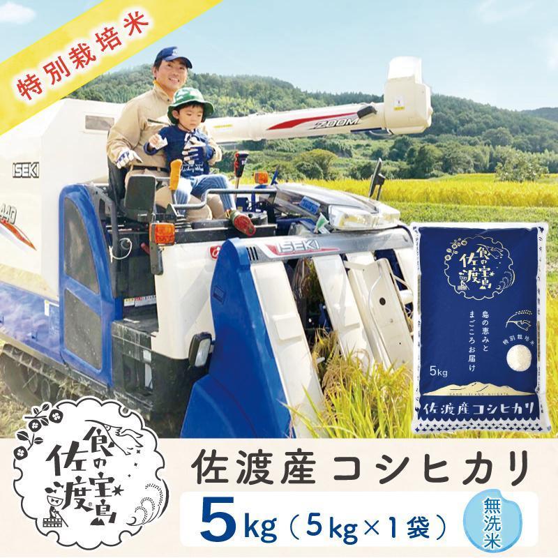 【新米】佐渡島産コシヒカリ 無洗米5Kg×1袋 特別栽培米 令和6年産 ”ベストファーマー認証受賞歴”