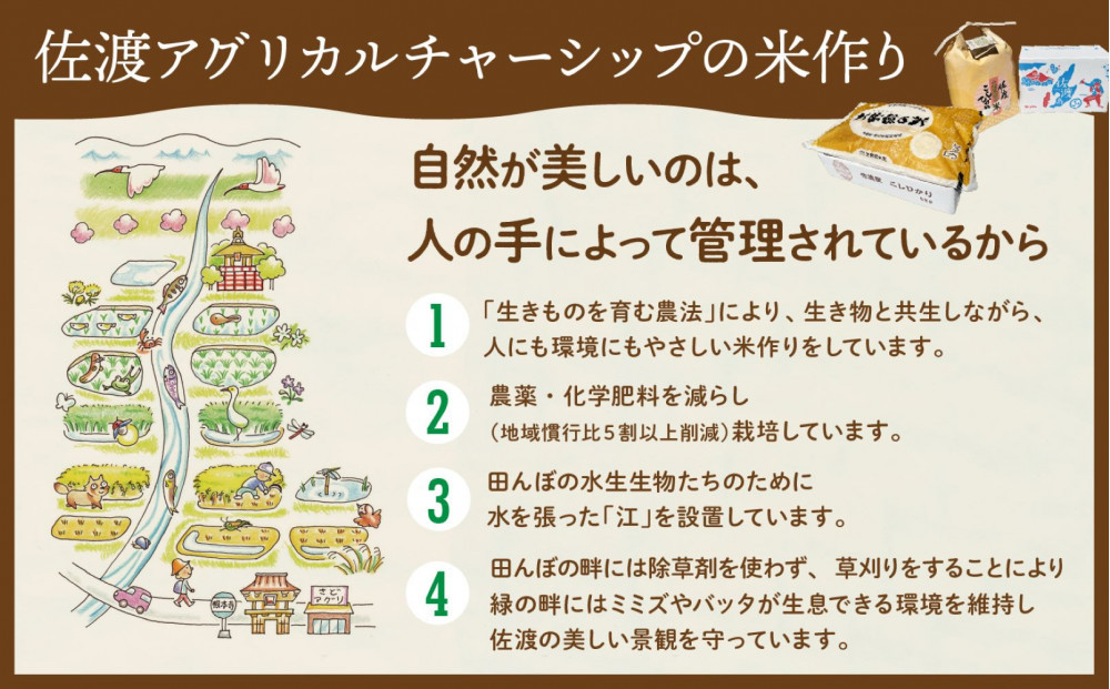 【令和７年産】佐渡島産 特別栽培米こしひかり「大野郷の米」精米5kg×6回 定期お届けコース