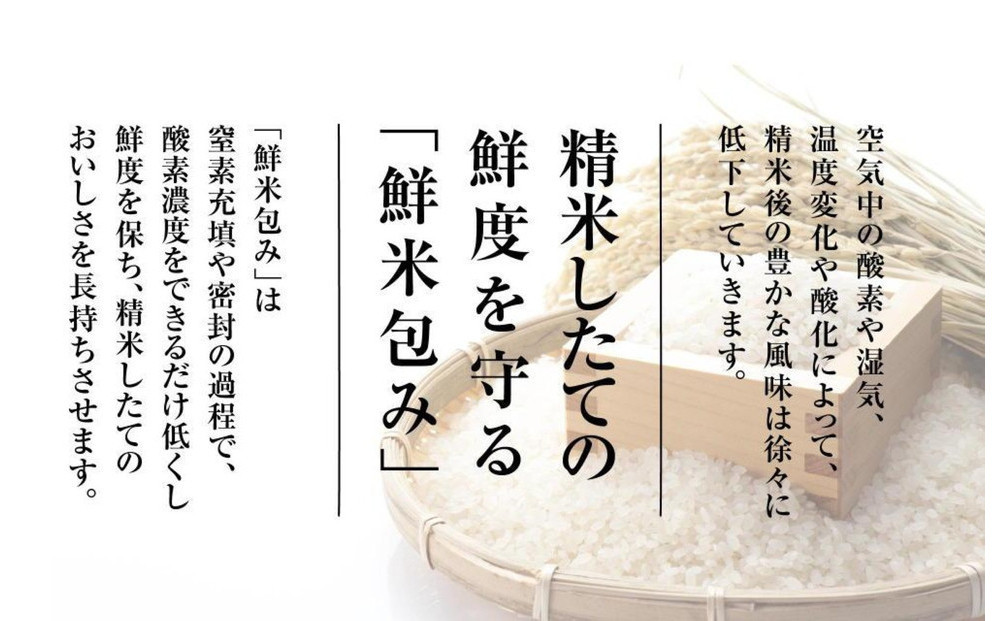【令和7年産　頒布会】雪温精法　佐渡産こしひかり4kg×3回