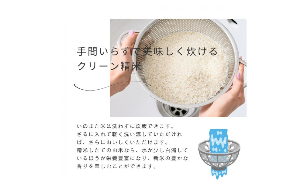 莉、蜥7蟷エ逕」繧ウ繧キ繝偵き繝ェ縲邊セ邀ウシ育┌豢礼アウシ3kg縲霎イ螳カ逶エ騾√菴先ク。蟶ゅ>縺ョ縺セ縺溽アウ