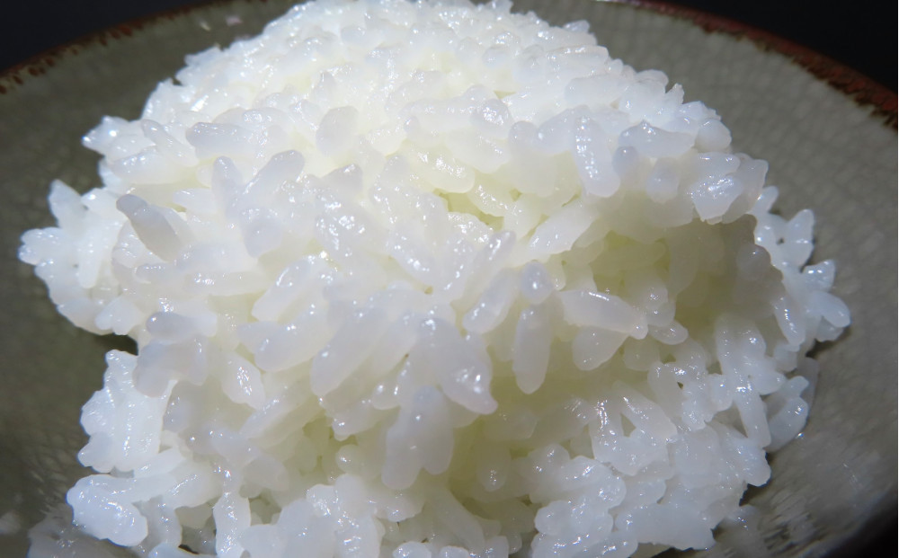 【定期便】佐渡産高千産こしひかり 精米5kg【12ヶ月連続お届け】