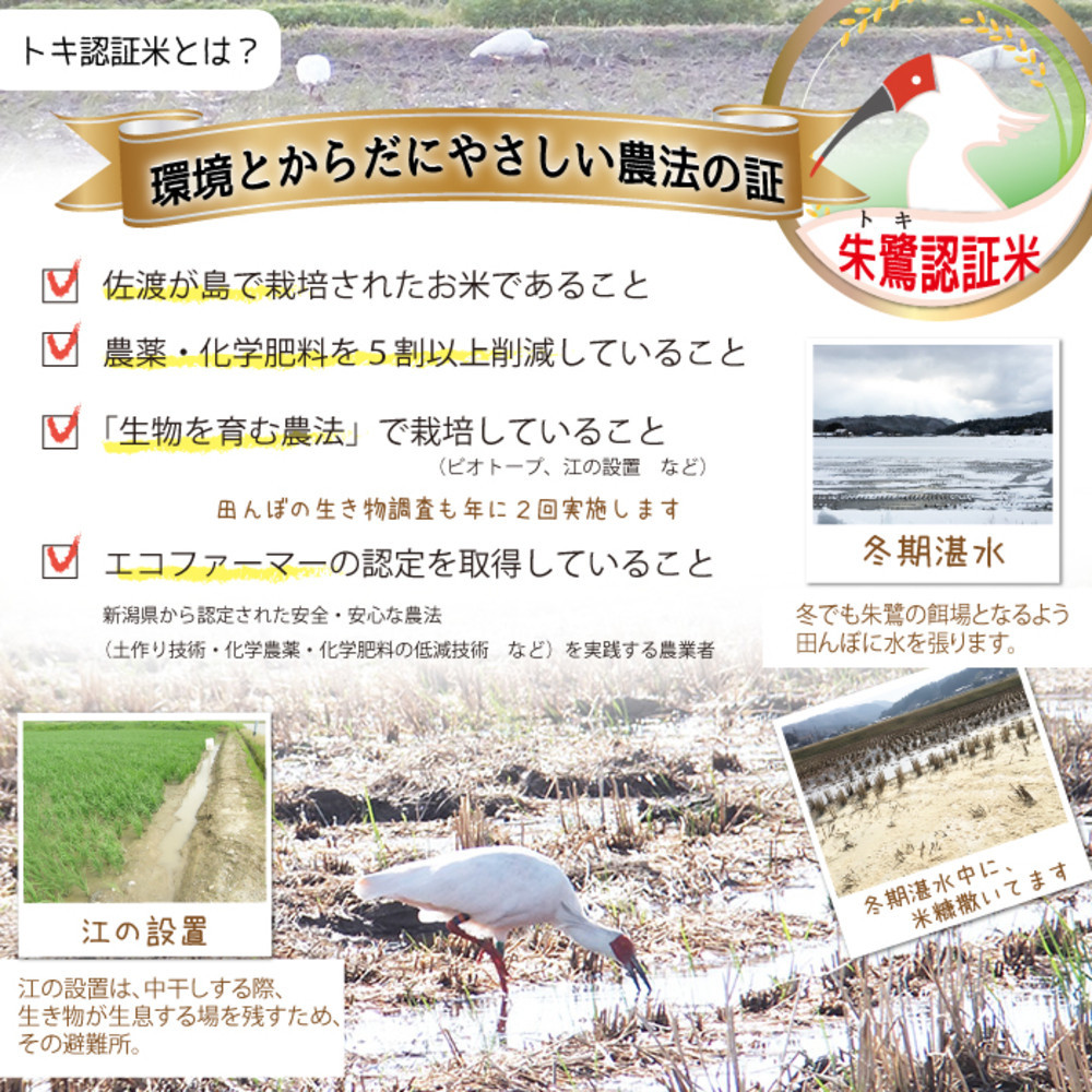 佐渡島産コシヒカリ「朱鷺と暮らす郷」無洗米10kg(5kg×2袋) 土屋農園 令和7年産 特別栽培米