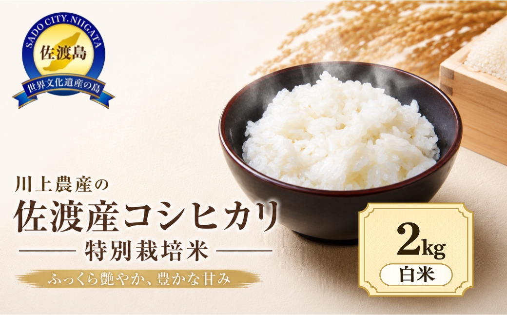 令和7年産 佐渡 川上農産のコシヒカリ（2kg）