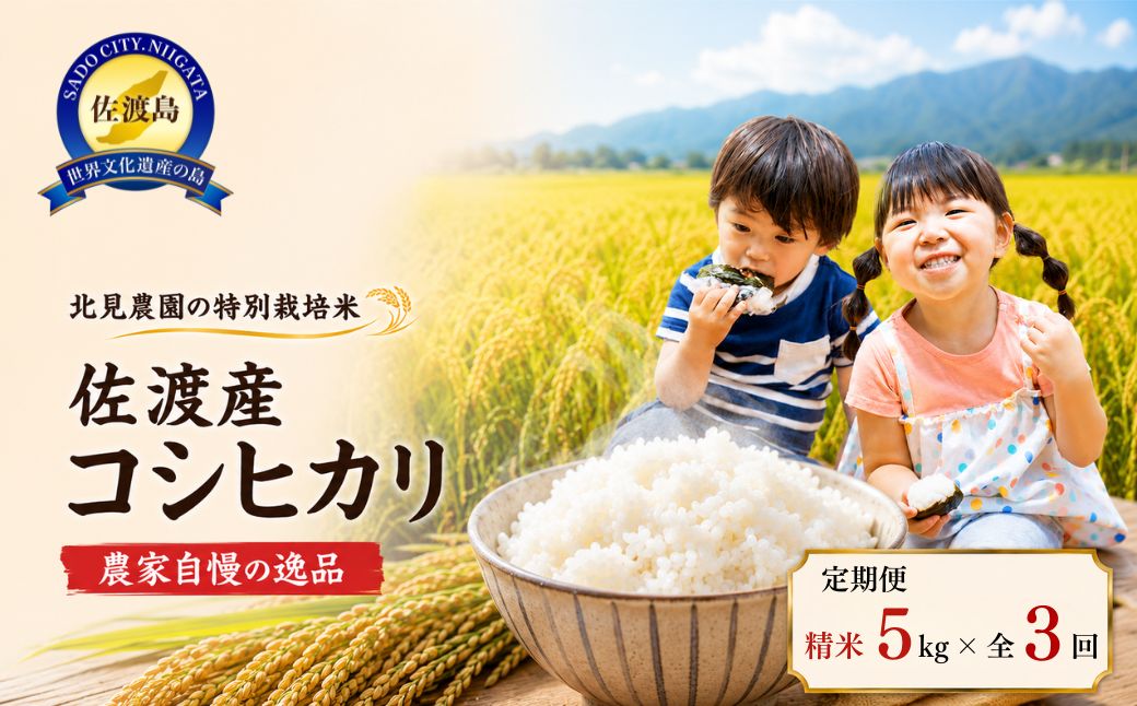 【先行予約・限定】令和8年産　特別栽培米　佐渡産コシヒカリ　農家直送　朱鷺も棲む　北見農園自慢の逸品　定期便（精米5kg×3回コース)