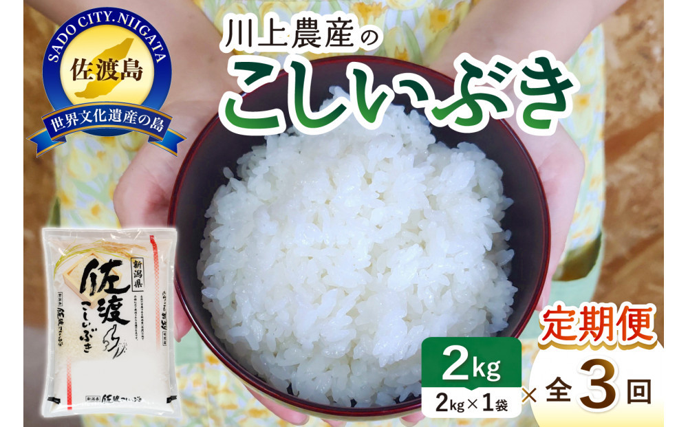 令和7年産 佐渡 川上農産のこしいぶき 定期便（2kg×全3回）
