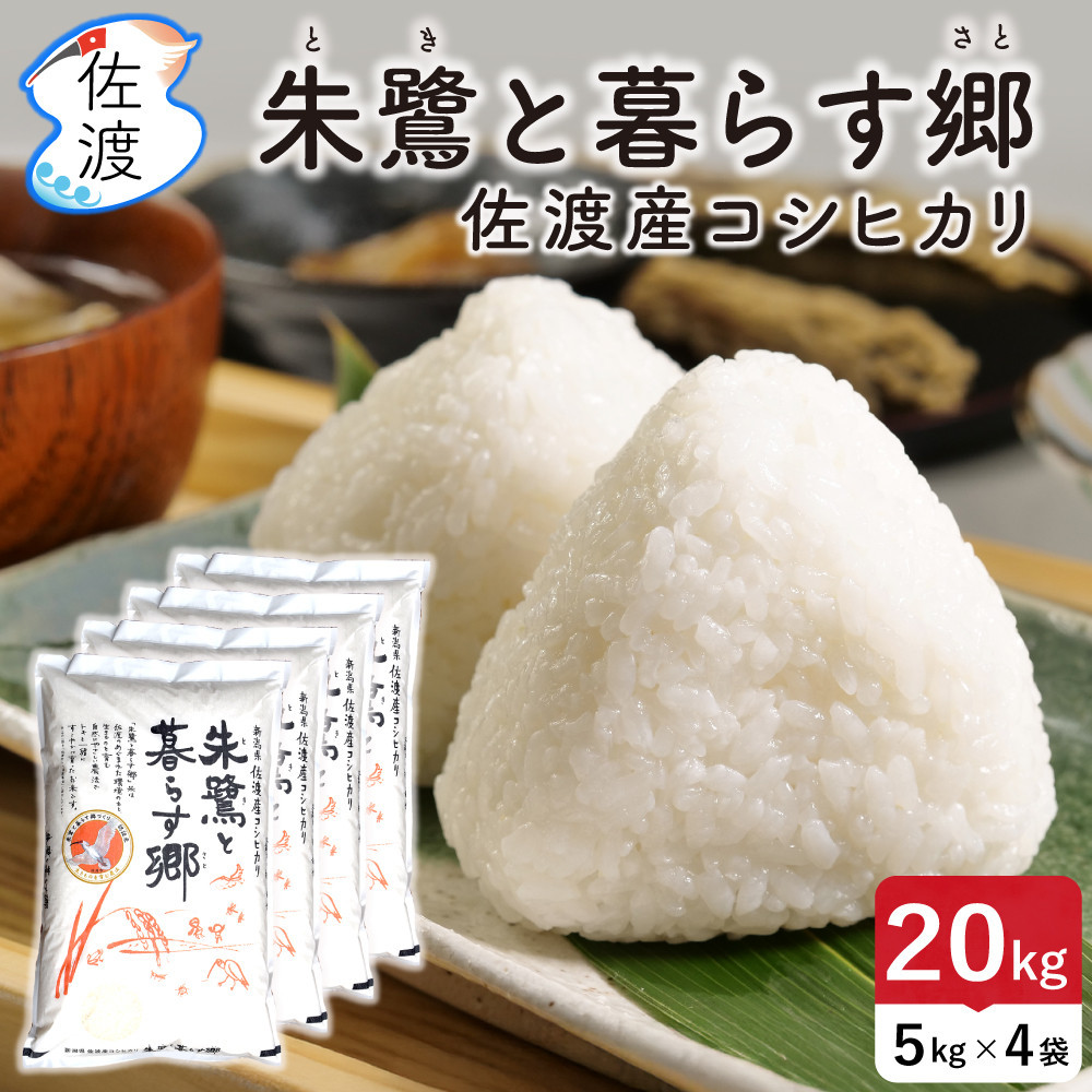 佐渡島産コシヒカリ「朱鷺と暮らす郷」白米20kg(5kg×4袋) 令和7年産 特別栽培米